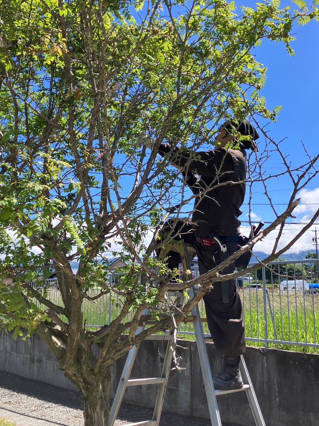 継なぎ手 イメージ2